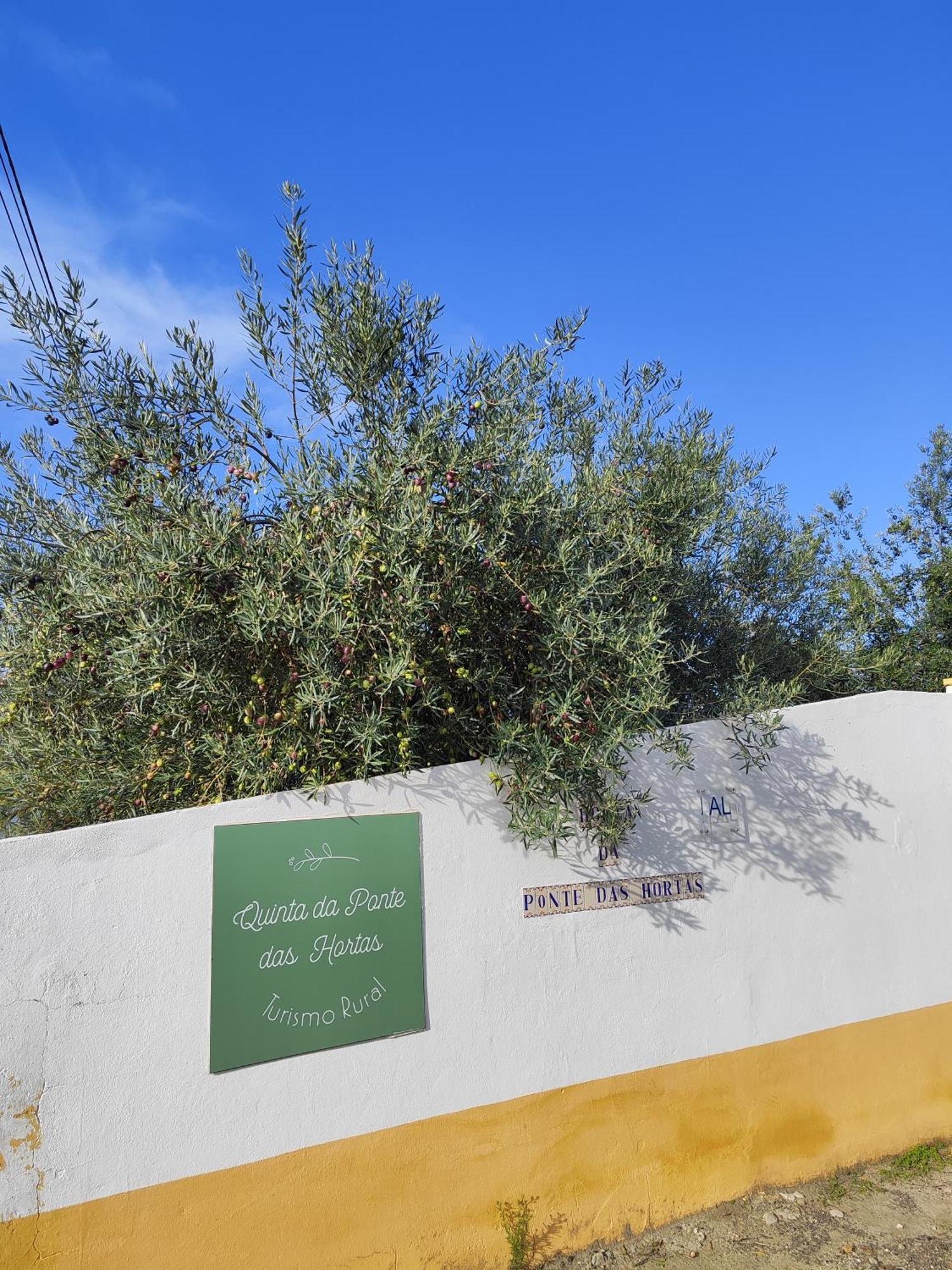 אלבאס Quinta Da Ponte Das Hortas 2 מראה חיצוני תמונה